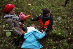 HAWK G&ouml;ttingen Plant-for-the-Planet